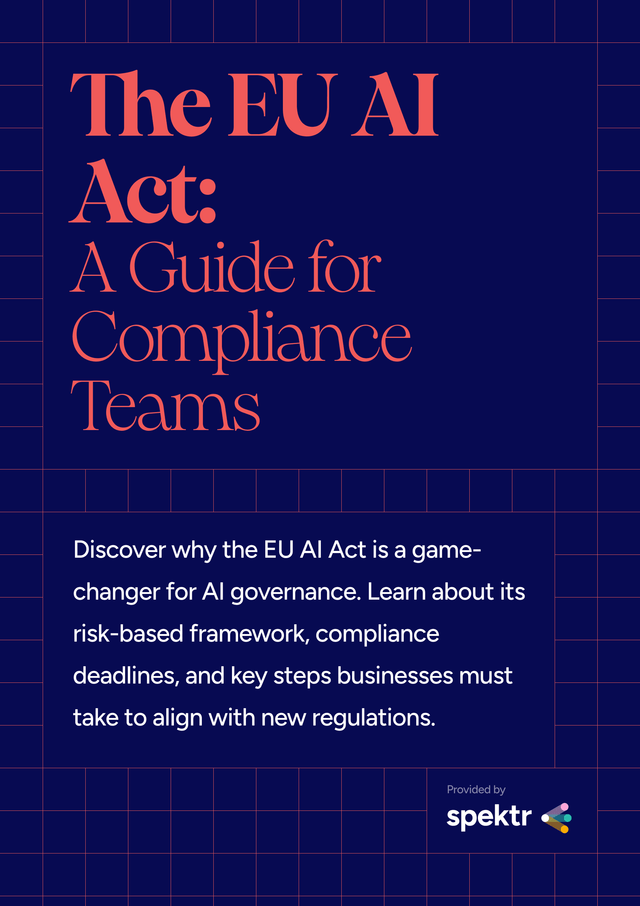 AI compliance professional reviewing risk classification under the EU AI Act